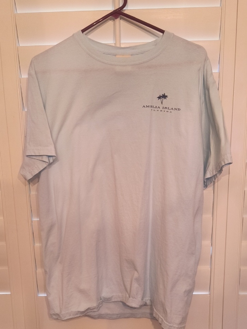 Light Blue Graphic Tee - Men Amelia Island